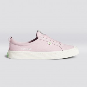 OCA LOW Cariuma Low Top Canvas Hombre Pale Lilac | ALFPUN437