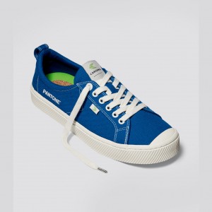 OCA LOW Cariuma Low Top Canvas Mujer Azules | ZVURCK569