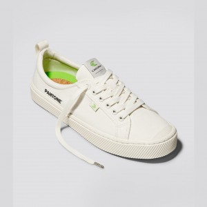 OCA LOW Cariuma Low Top Canvas Mujer Blancas | QWNCOI247