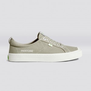 OCA LOW Cariuma Low Top Canvas Mujer Plaza Taupe | IUSOGN245