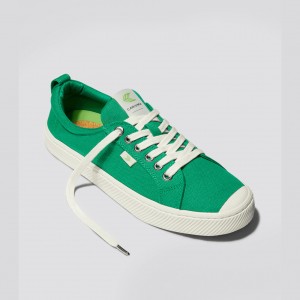 OCA LOW Cariuma Low Top Lona Vegan Hombre Verde | VLIJUF218