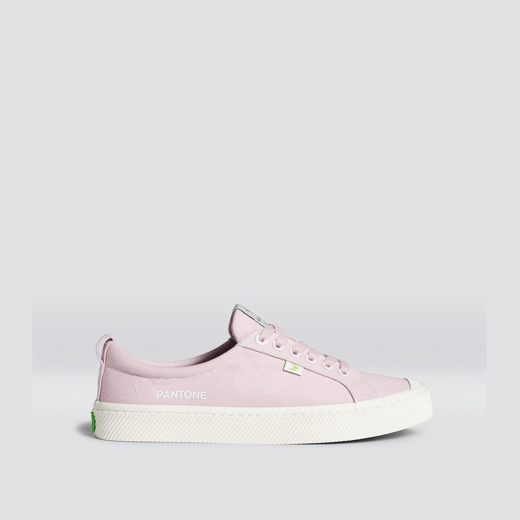 OCA LOW Cariuma Low Top Canvas Hombre Pale Lilac | ALFPUN437